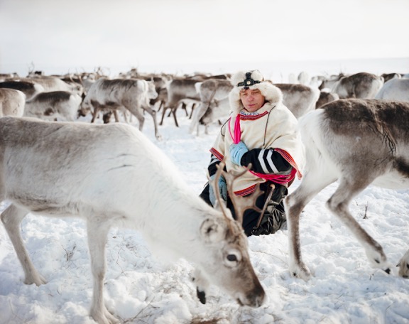 A Saami person with reindeer
